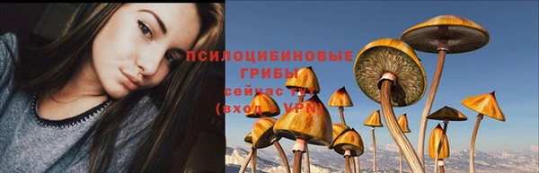 стаф Кукмор